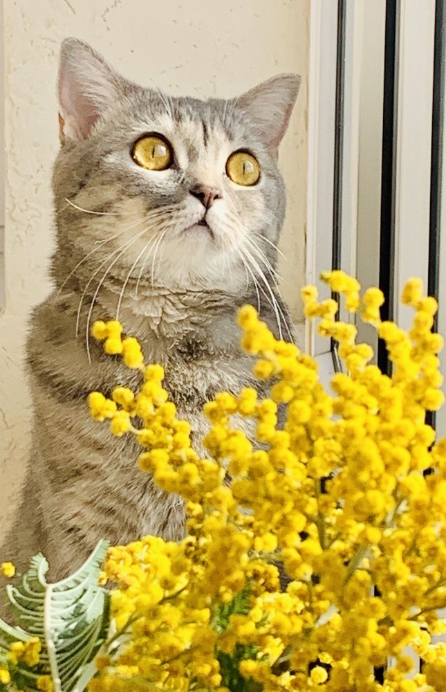 Photograph by Ольга Шестакова