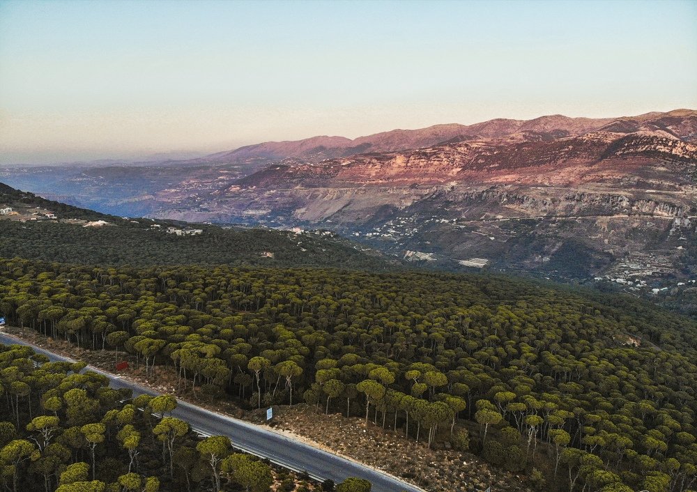 Photograph by Darazi Omar