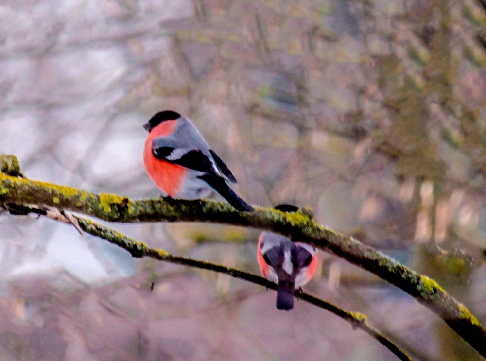 Photograph by Alexandra Chalova