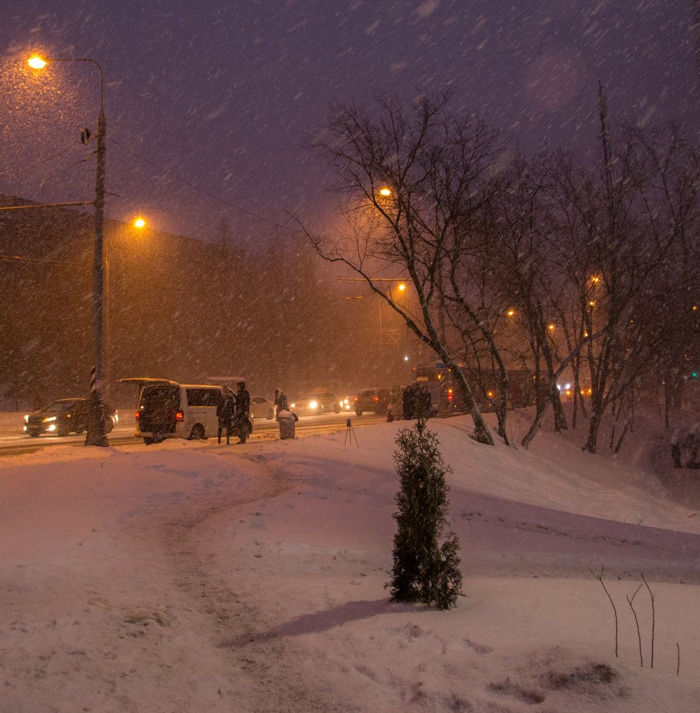 Photograph by Евгения Булычёва