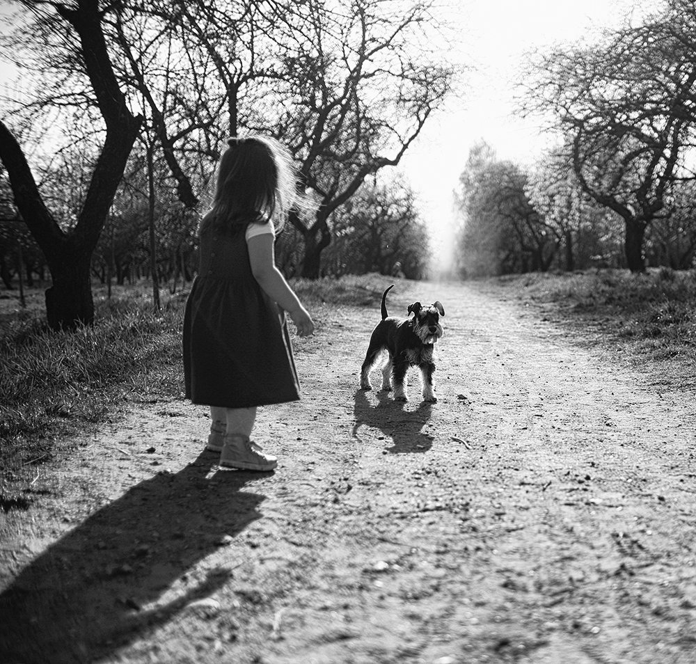 Photograph by Мария Сапего