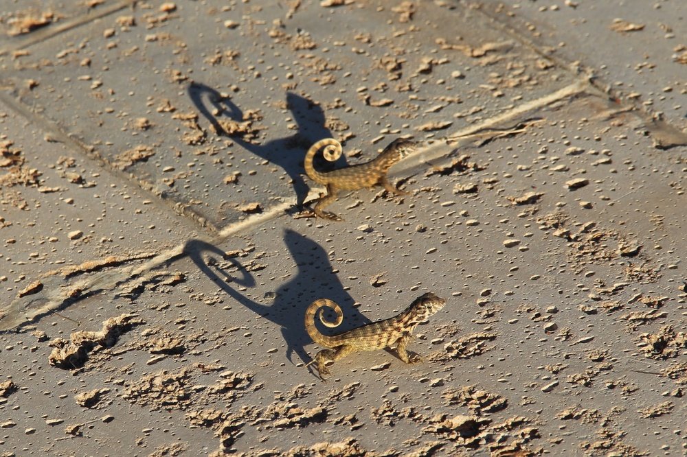 Photograph by jose oliveira