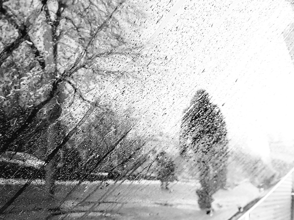 Тени на влде.