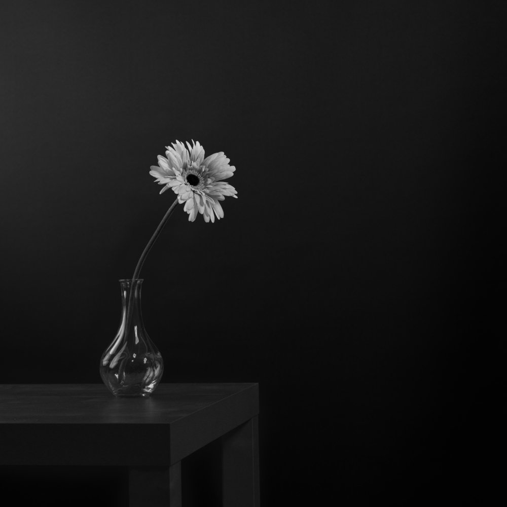 Фотография автора Volodymyr Hraivoronskyi