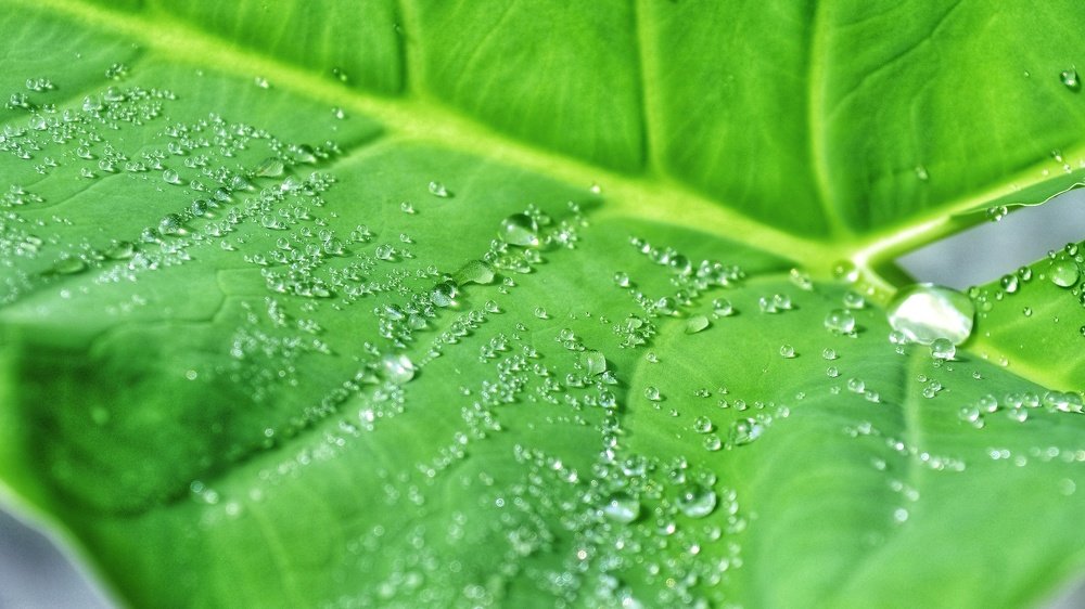 Photograph by John Merluza