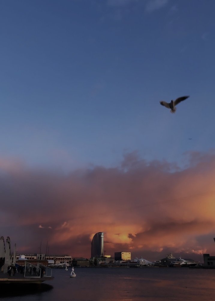 Photograph by Татьяна Синицына