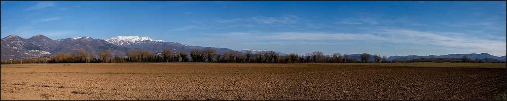 Фотография автора Henry Mason