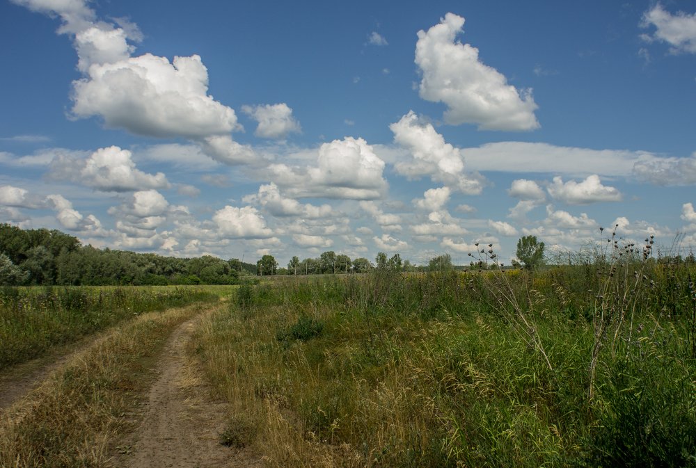 Photograph by Natalia Barsukova