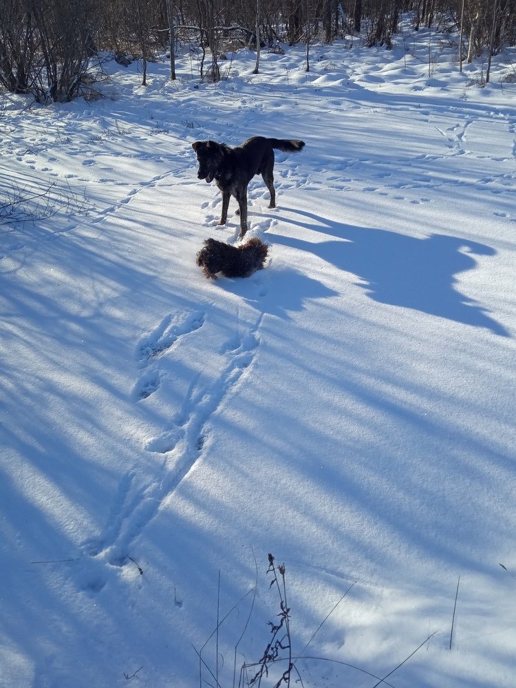 Photograph by Любовь Шаврина