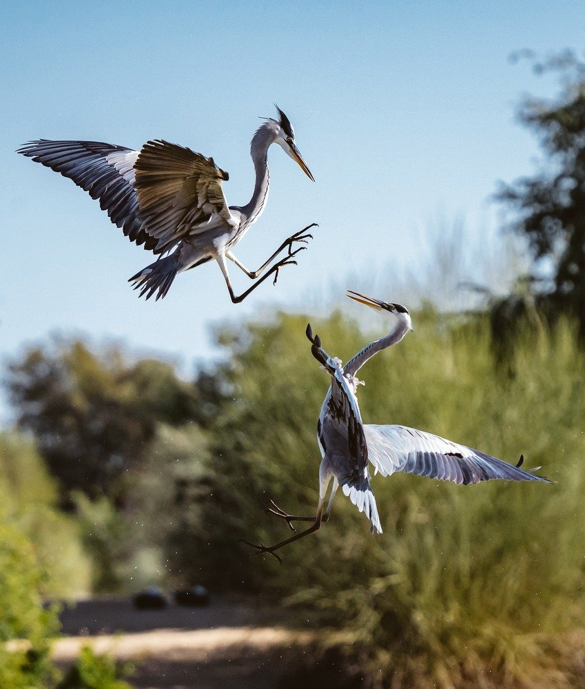 Photograph by Noufal Pallikal Akath