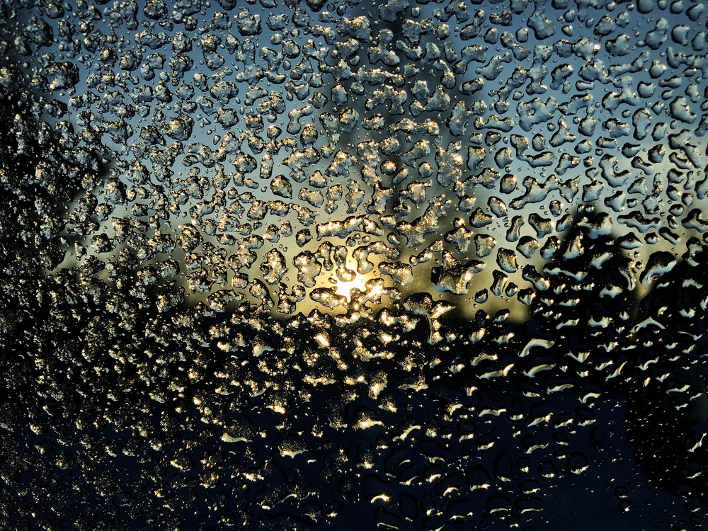 Photograph by Алёна Андреева