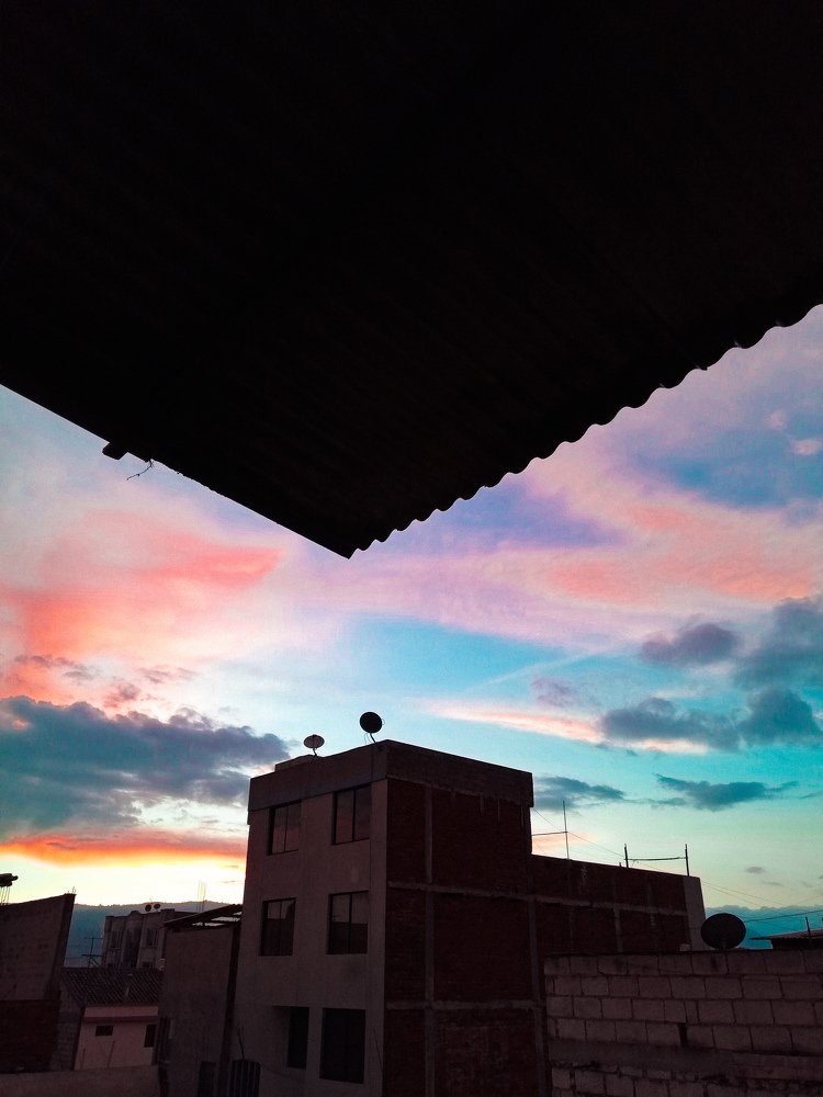Photo #4278832