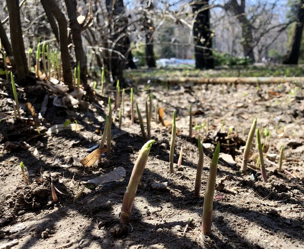 Photograph by Татьяна Пономарева