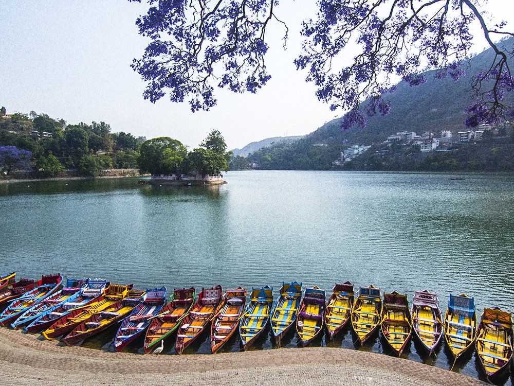 Фотография автора Durgaprasad Mylawaram