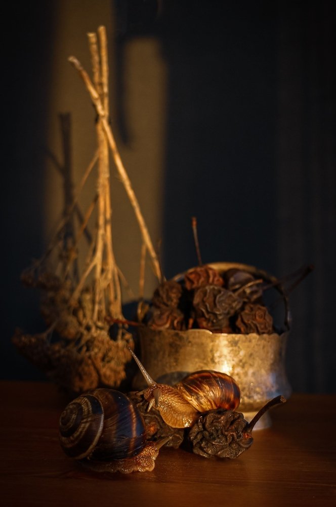 Натюрморт с улитками и сушёными грушами.