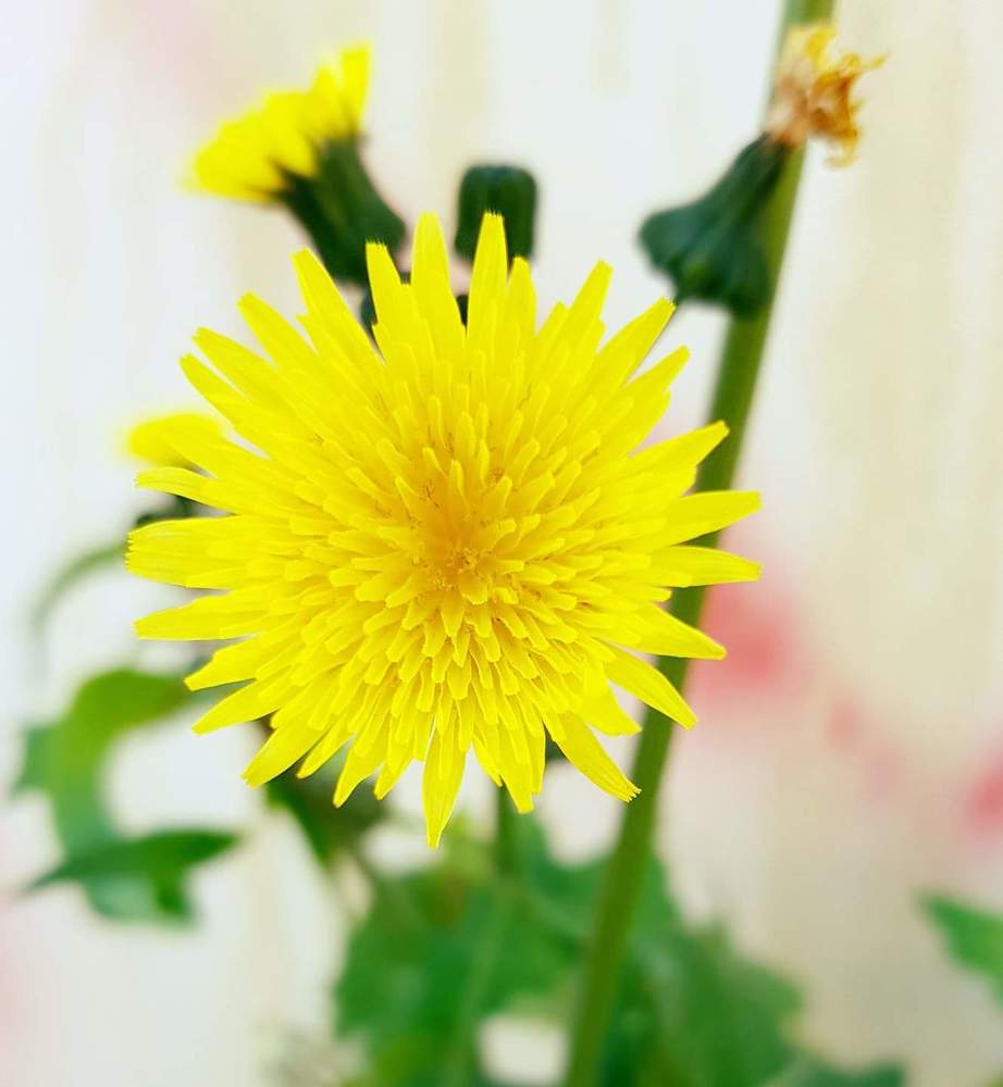 Photograph by ANTONIS MICHAEL