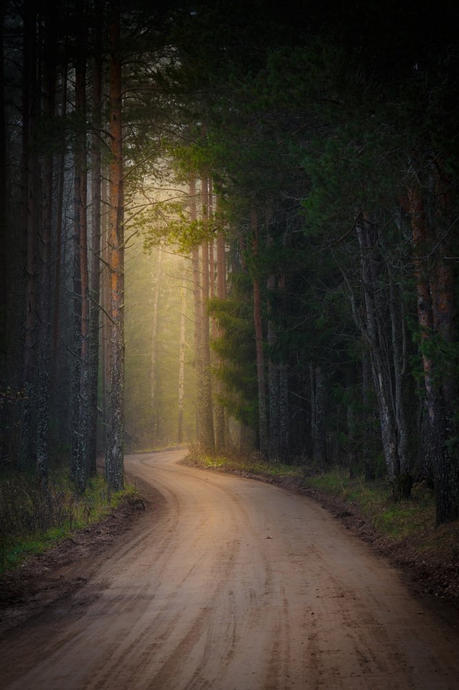 Дорога на Валдай