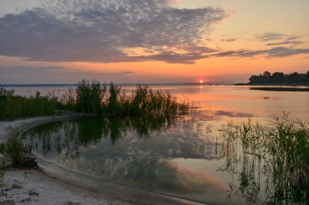 Просто летнее утро