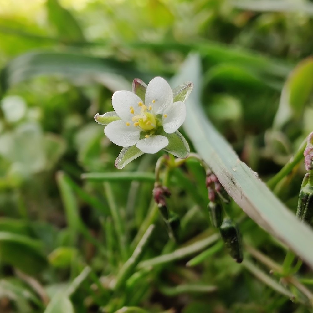 Photograph by vivek Kumar