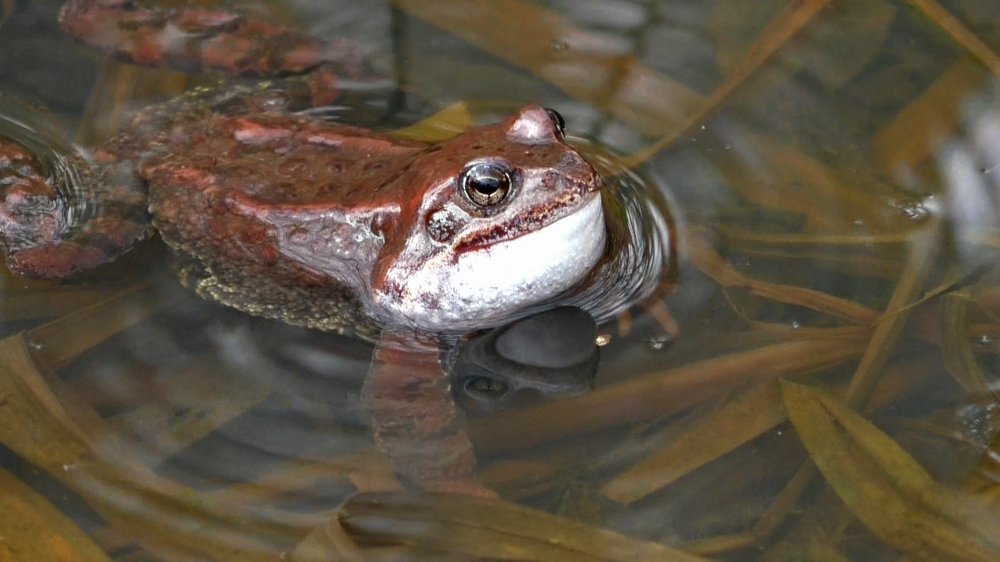 В активном поиске