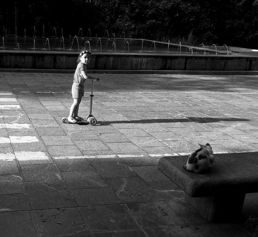 Photograph by Abolfazl Jafarian