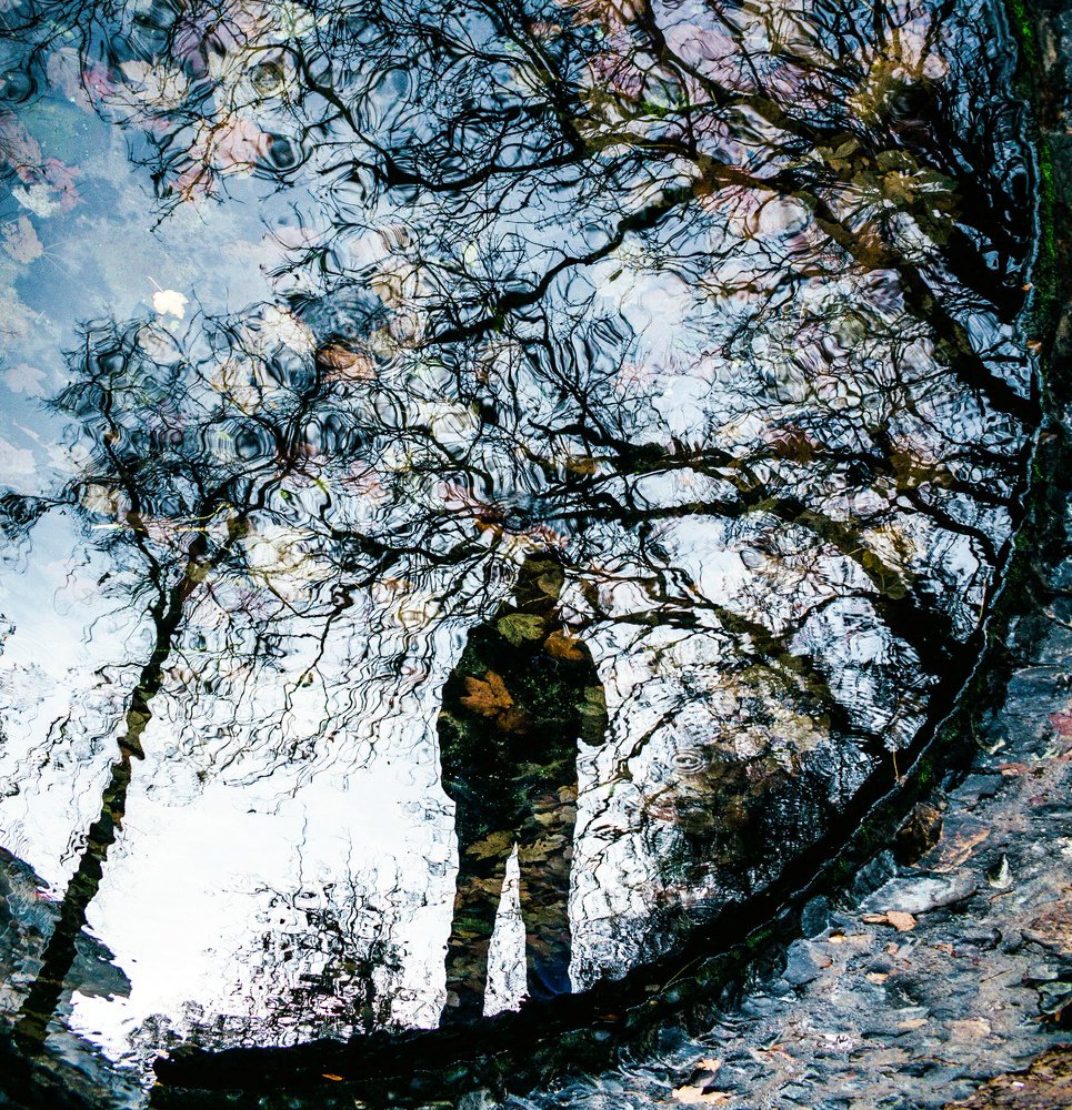 Photograph by Abolfazl Jafarian