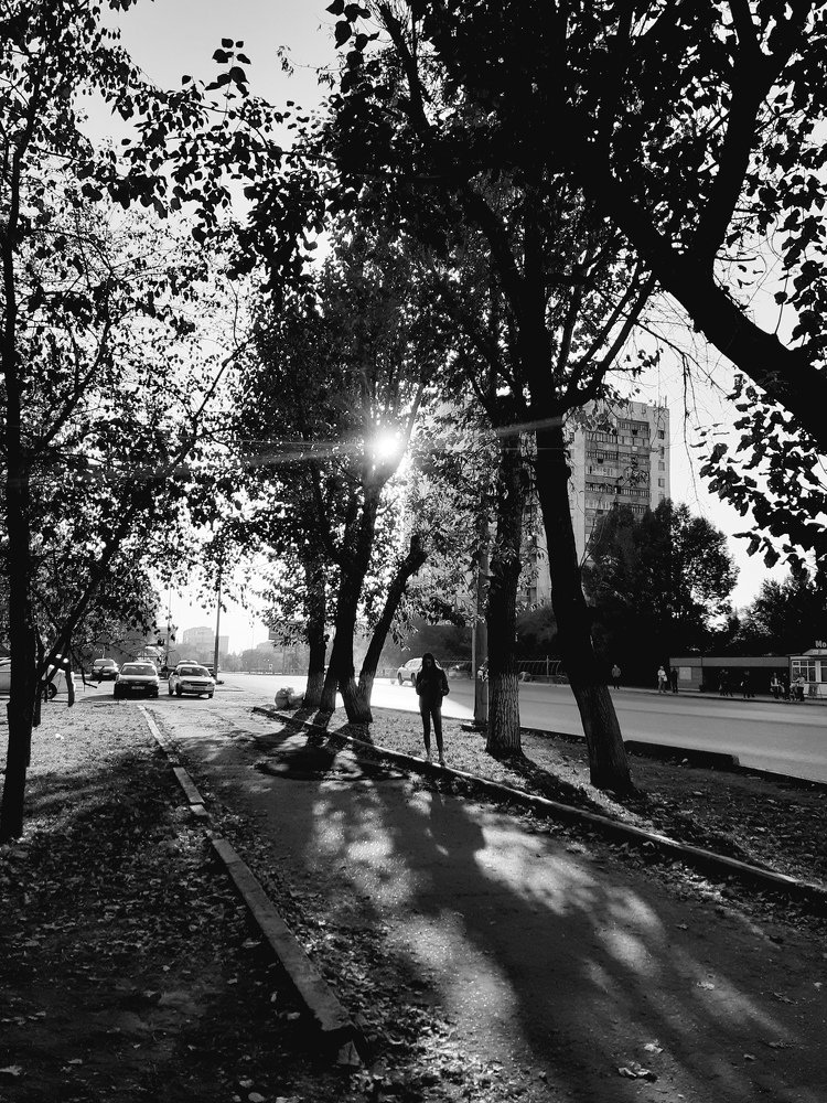 Photograph by Тогжан Таминбаева