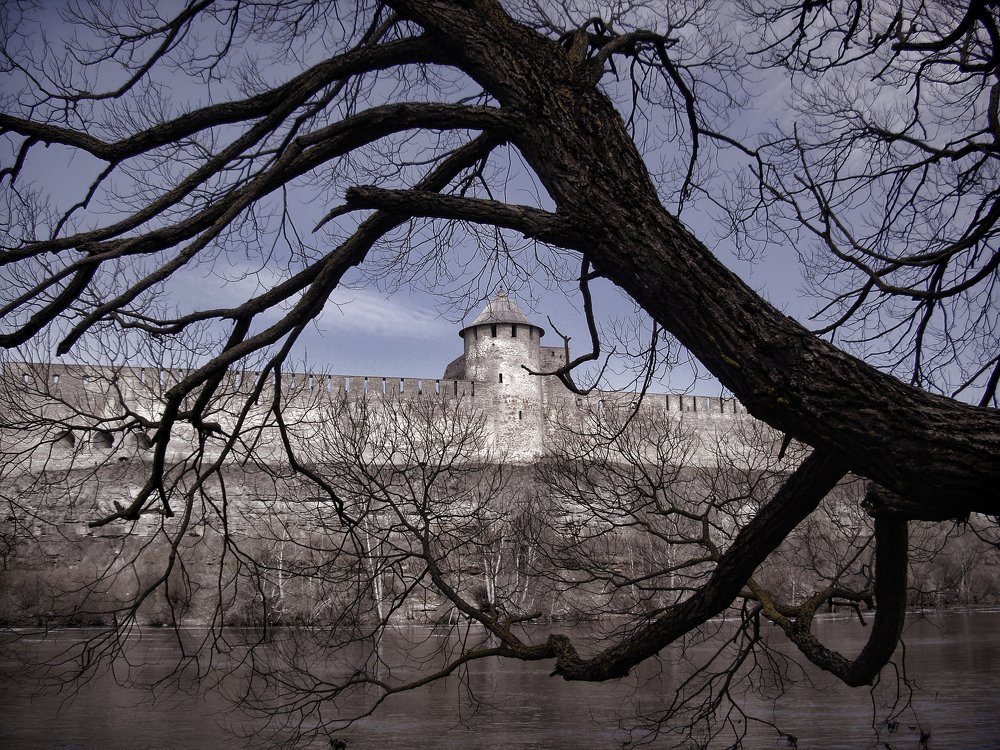 Крепость сквозь лекую паутинуветвей