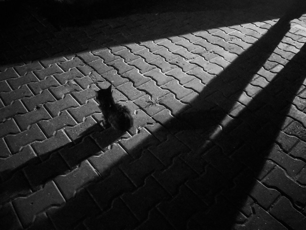 Фотография автора Гладкий Сергей