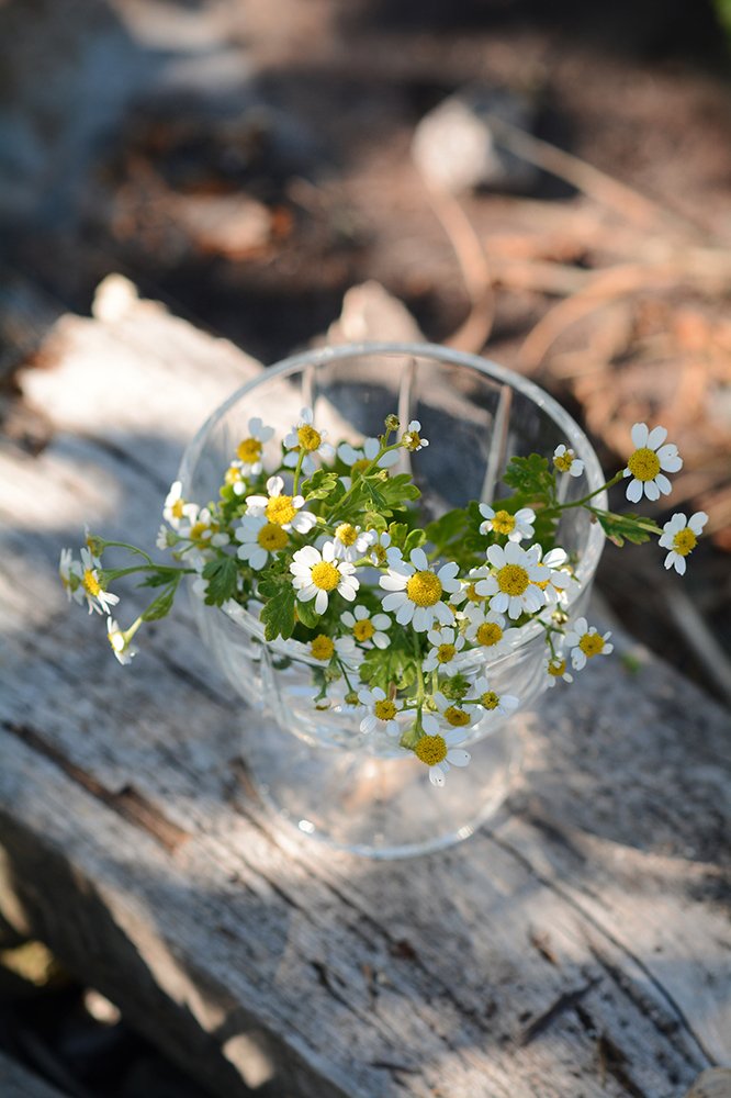 Фотография автора Aлена Хлопова
