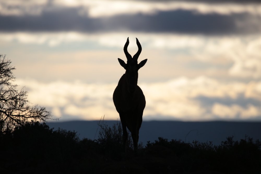 Photograph by Ben Peyper