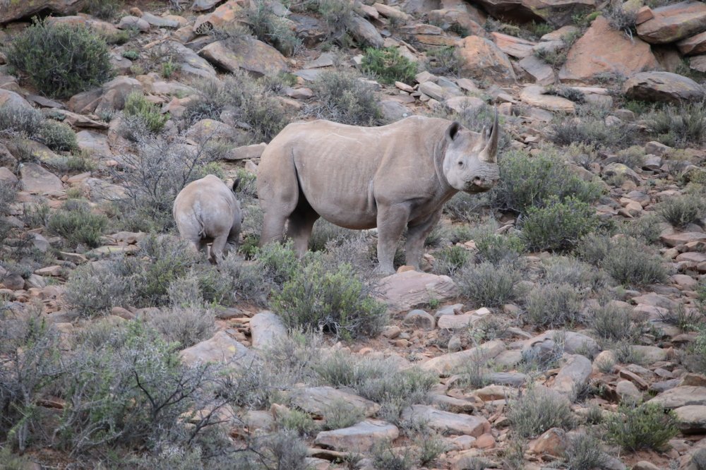 Photograph by Ben Peyper