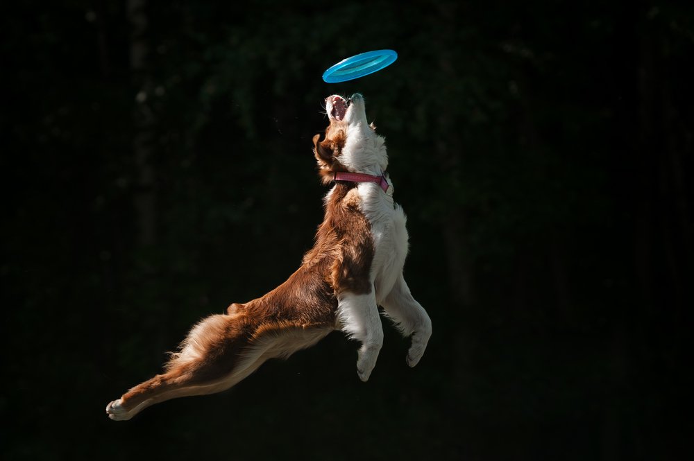 Через тернии — к звёздам!