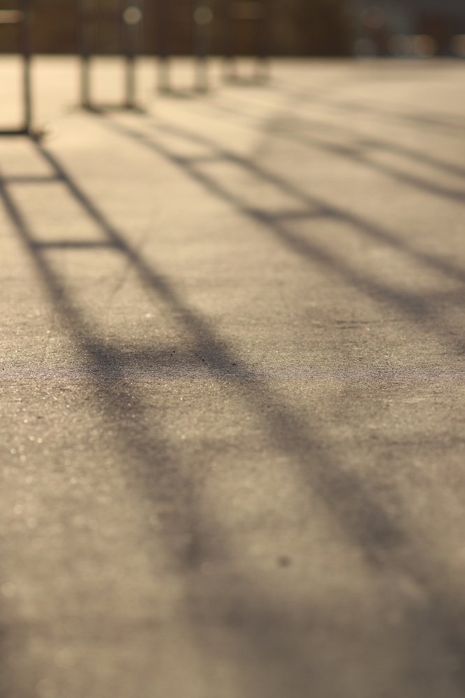 Photograph by Михаил Шпирко