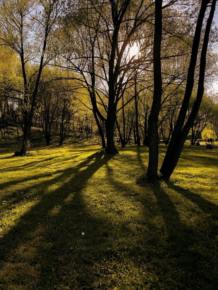 Photograph by Алексей Кузев