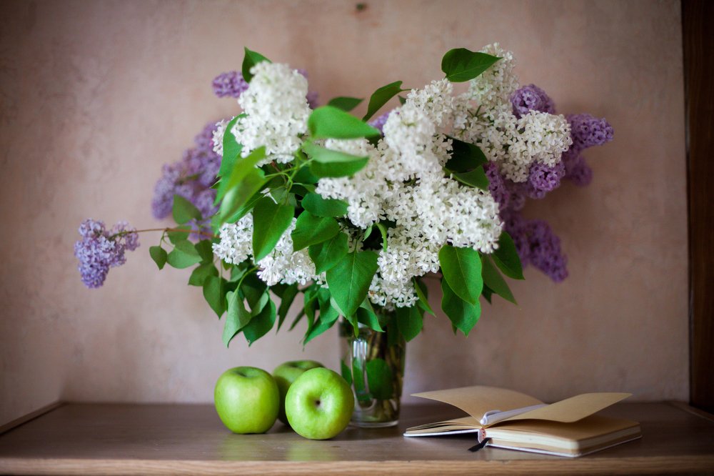 Photograph by Дарья