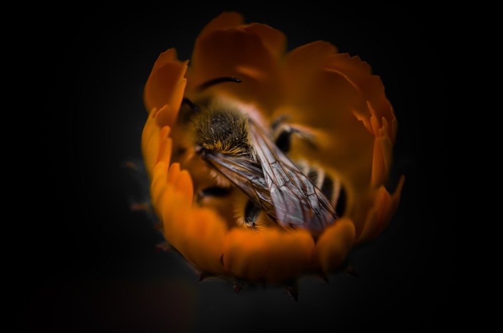 Photograph by Денис Белов