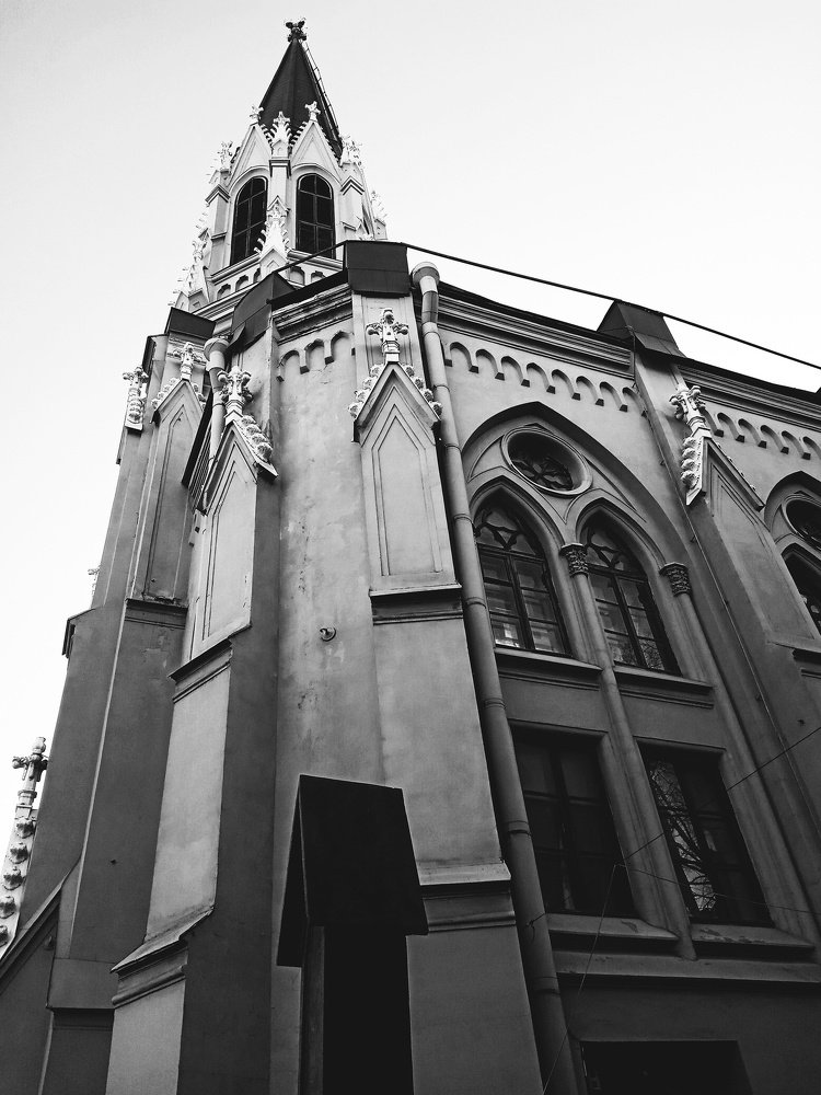 Photo #4279580