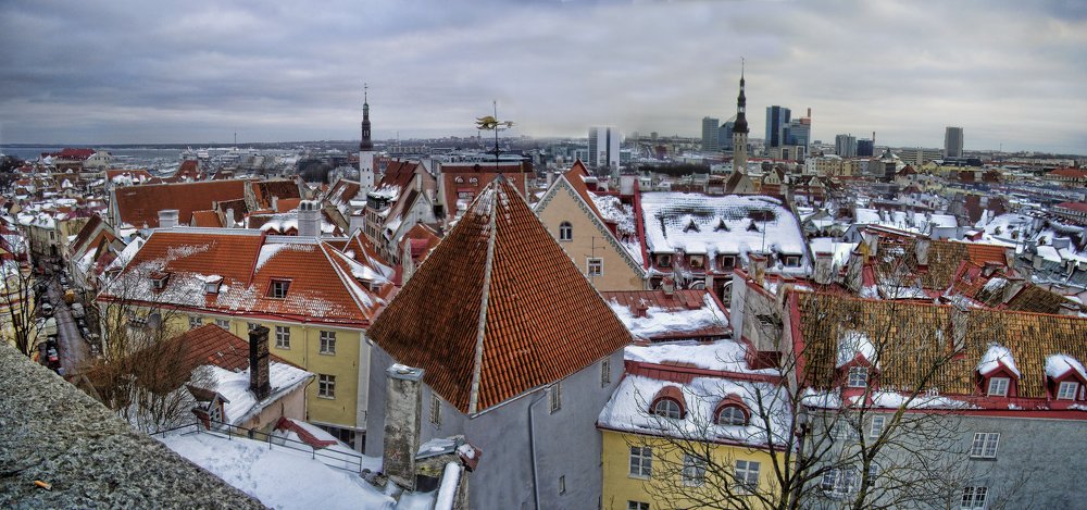 Панорама Таллинна