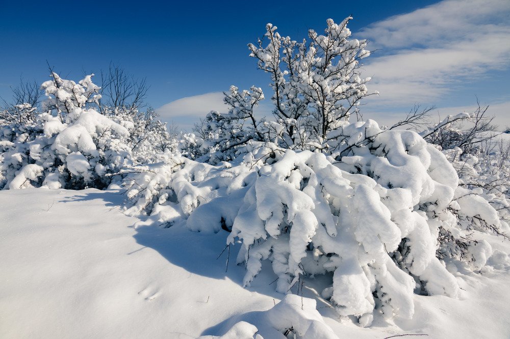 Photograph by Константин Шишкалов