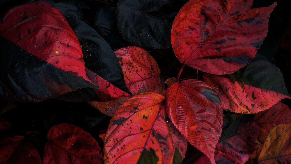 Photograph by Bhautik Lakhani