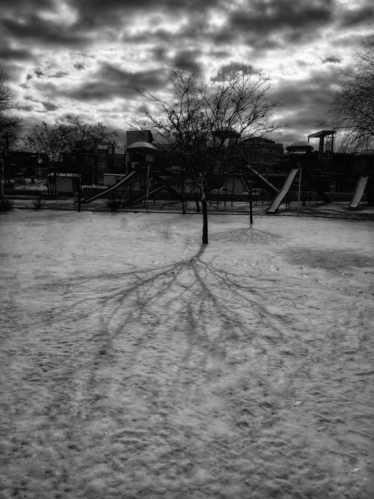 Photograph by Yahya Kakapour