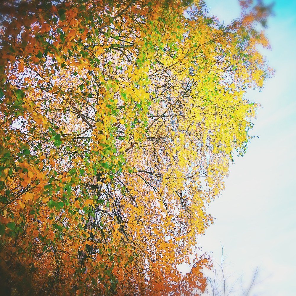 Photograph by Дмитрий