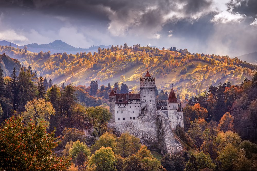 Фотография автора Елена Маковоз