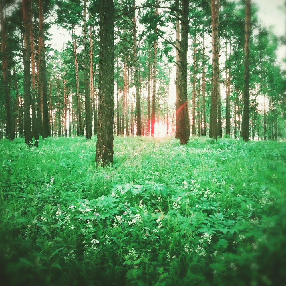 Photograph by Дмитрий