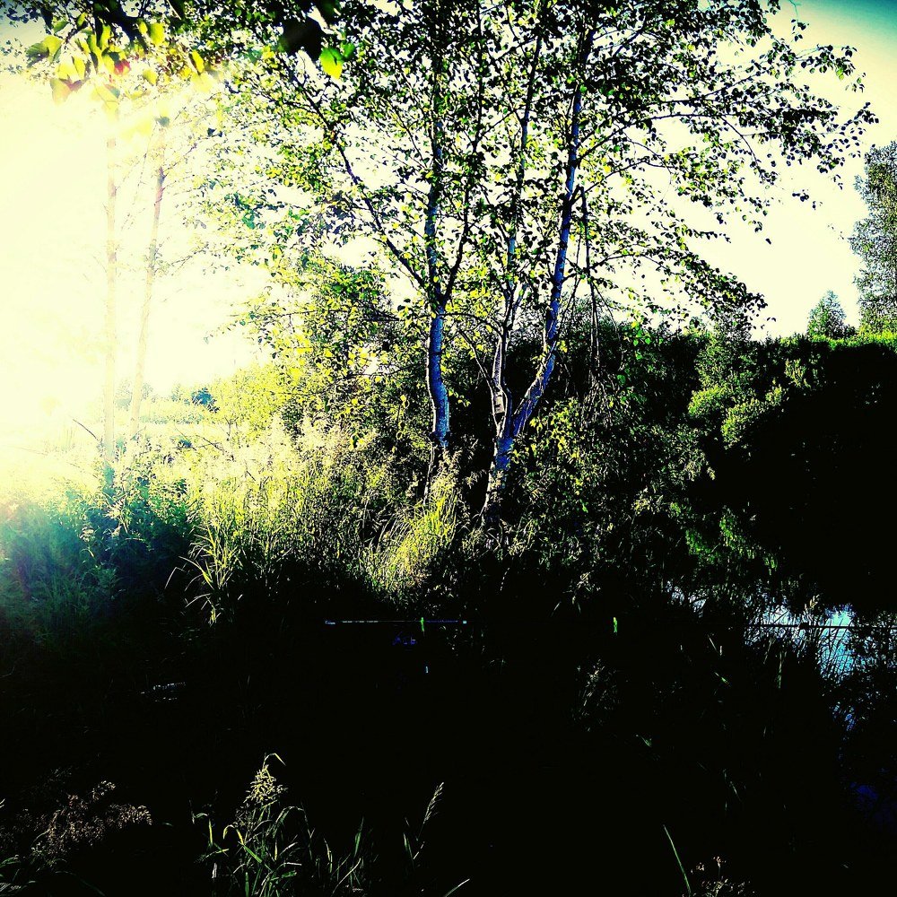 Photograph by Дмитрий