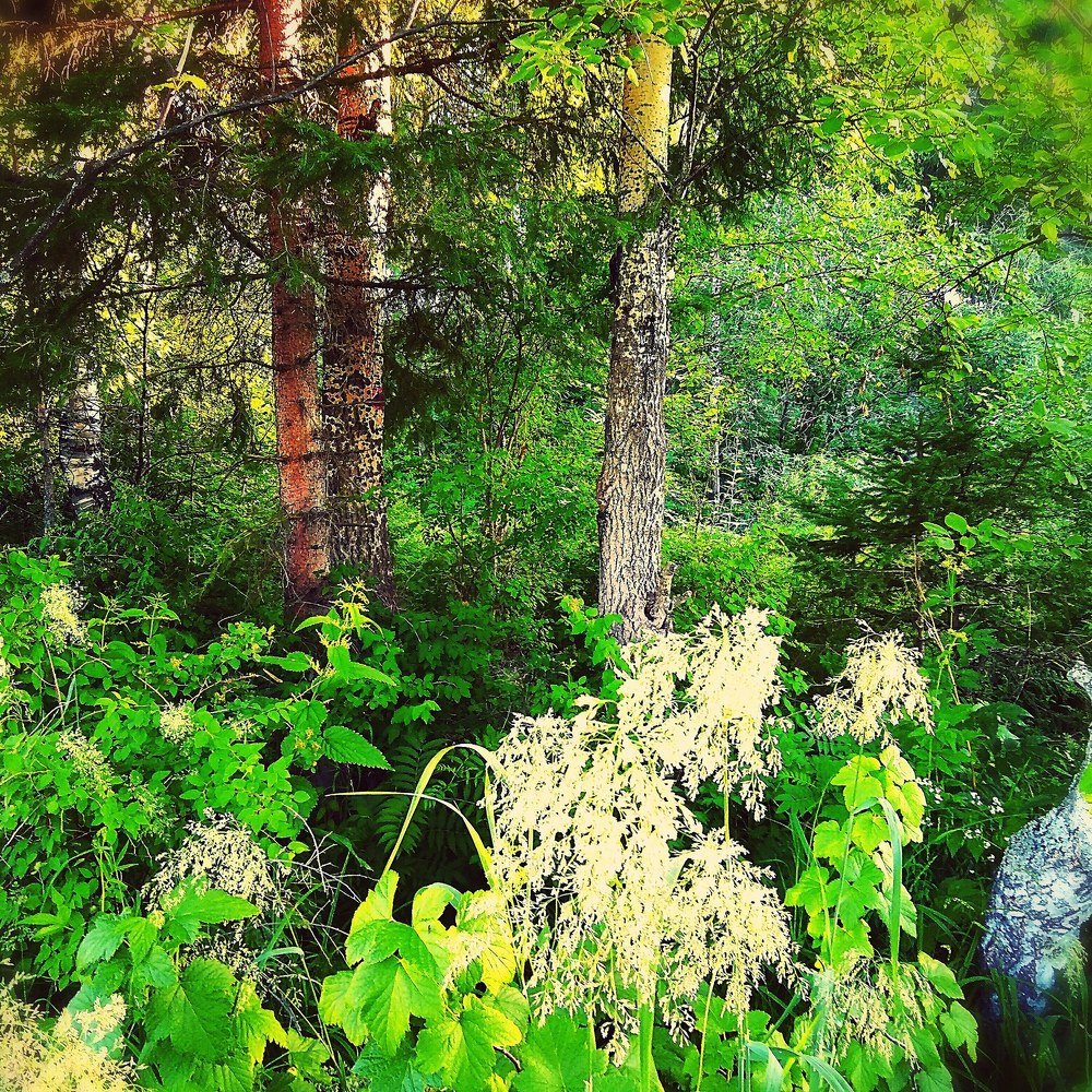 Photograph by Дмитрий