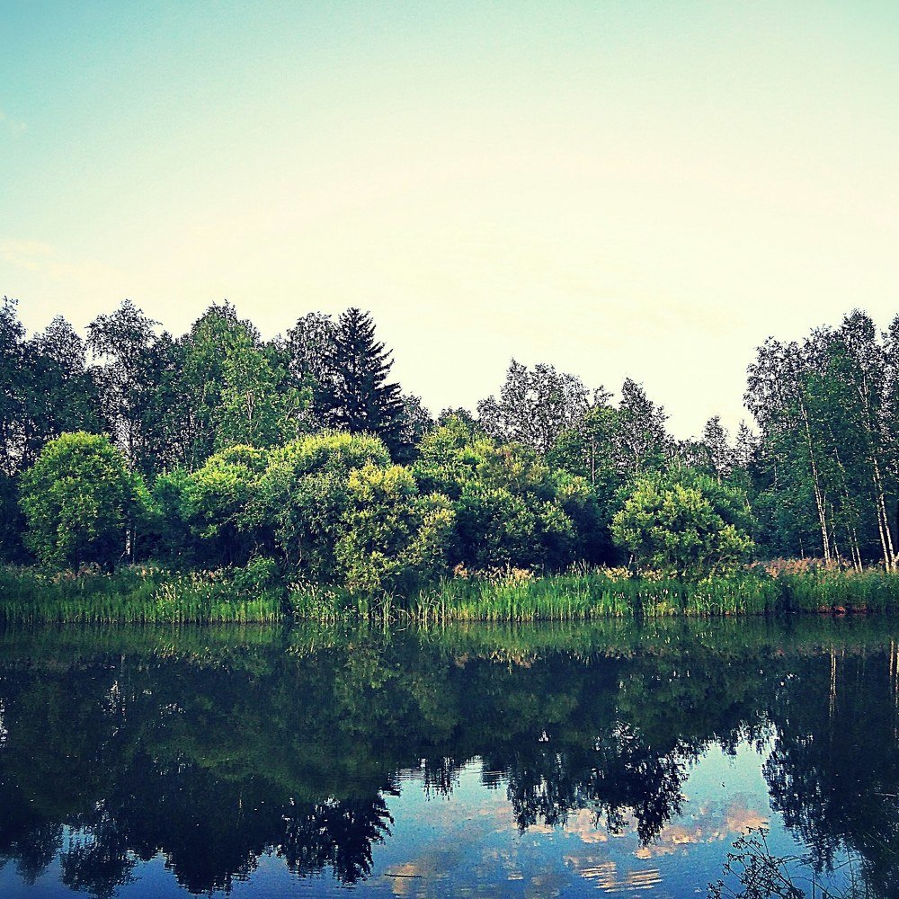Photograph by Дмитрий