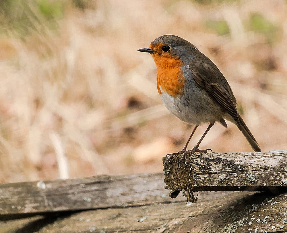 Photograph by Александр Есликов