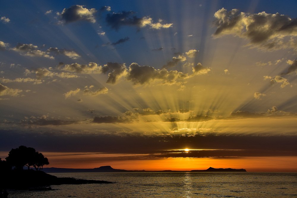 Солнечный восторг ....